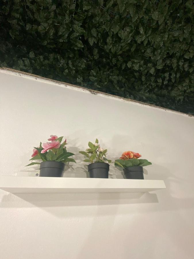 Alfa Casa Vacanze Catania Apartment Exterior foto